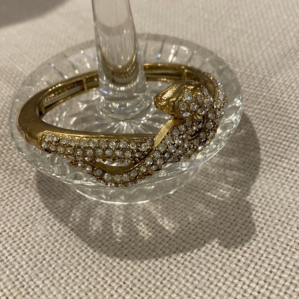 BCBG Snake Bracelet